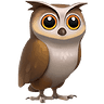 owl
